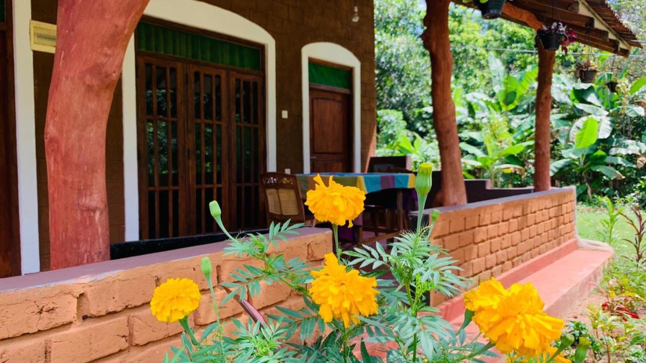 Sigiriya Chena Villa 外观 照片