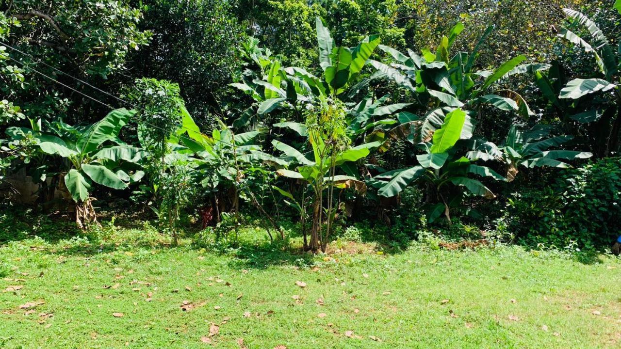 Sigiriya Chena Villa 外观 照片